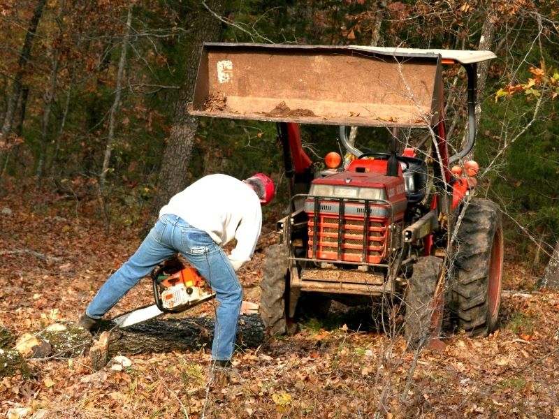 Limpeza de terreno baldio por onde começar