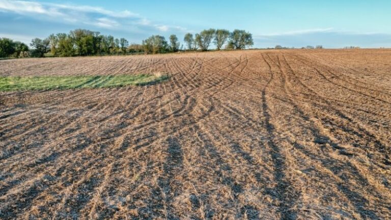 Roçada e Limpeza de Área Diferenças Entre Urbano e Rural